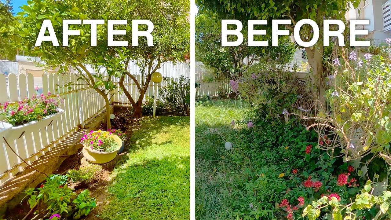 OCall 07931 081 131 today for a free quote or to book your garden clearance. We’re reliable, professional, and committed to making your garden look great again — no matter how big or overgrown the job.