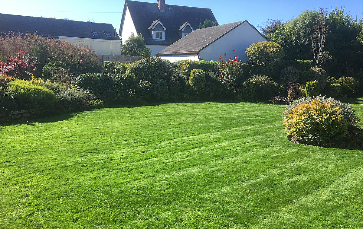 Garden Landscaping Project in Carbis Bay Cornwall